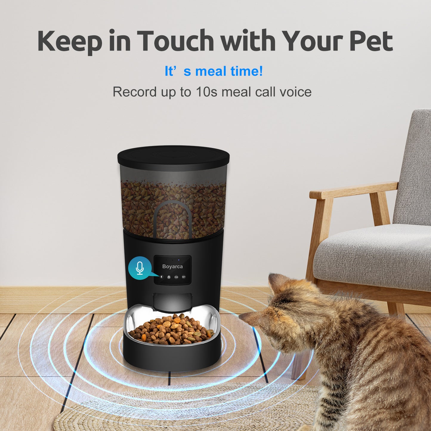 Automatic Feeder With Back Up Battery