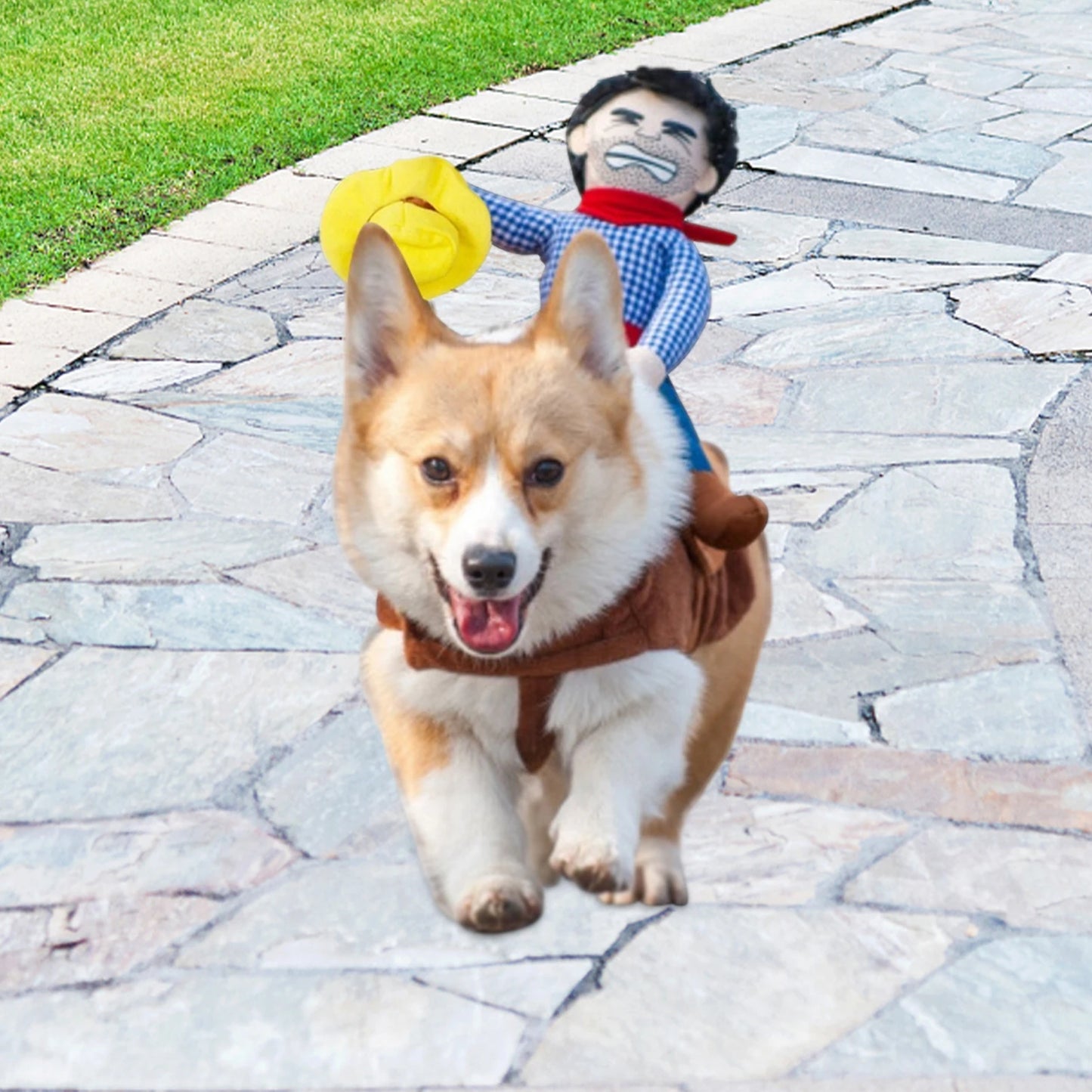 Funny Cowboy Riding Dog Outfit