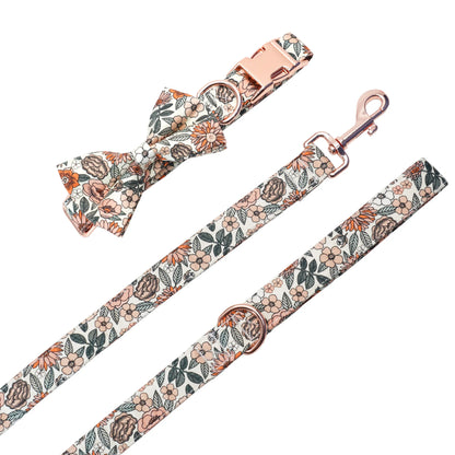 Dog Collar With Matching Leash and Harness
