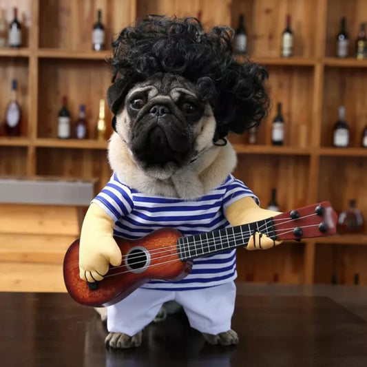Funny Guitar Pet Costume