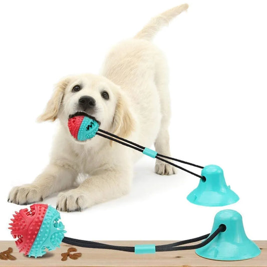 Dogs Toy Suction Cup Tug Toy