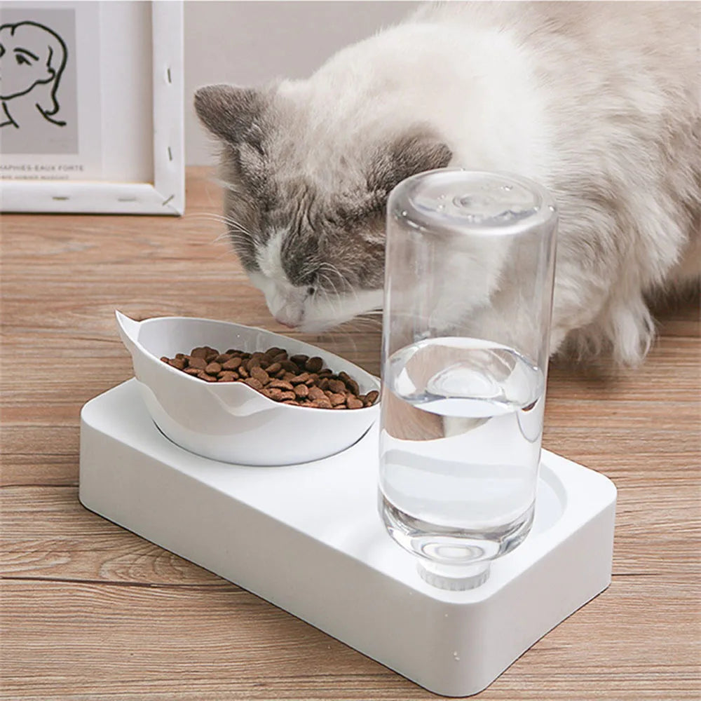 Cat Gravity Water and Food Bowls Raised