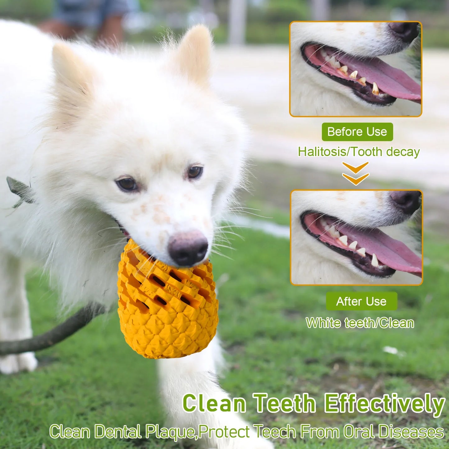 Dog Chew Pineapple Treat Toy