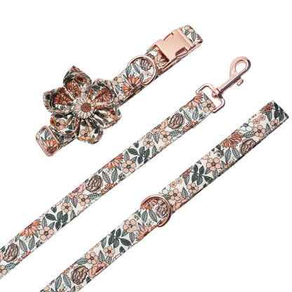 Dog Collar With Matching Leash and Harness