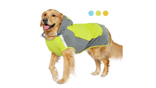 Hooded Lightweight Raincoat For Medium & Large Dogs