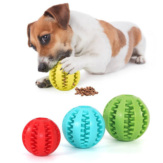 Pet Food Ball IQ Training